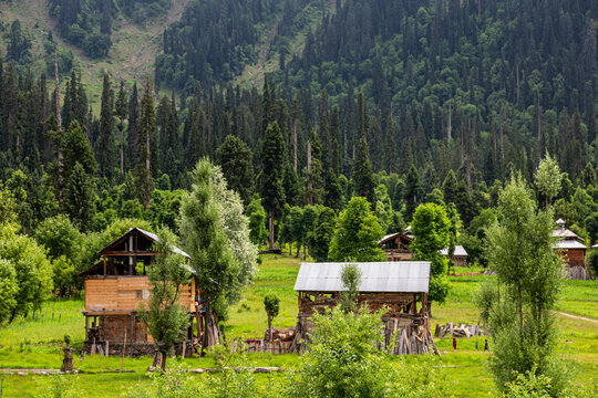 View of rustic wooden structures nestled in a vibrant green meadow, framed by a dense forest and rugged mountains, a serene escape, Arang Kel, Pakistan.
