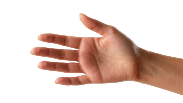 Tan human hand with slightly bent fingers extended upwards palm facing forward, isolated on transparent background for digital design elements