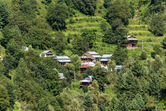 View of wooden homes nestled amidst a sea of green trees and terraced slopes, a tranquil escape in Reshian, Azad Kashmir, Pakistan.