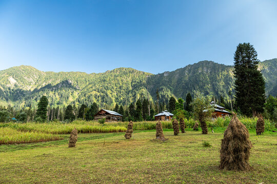 View of haystacks dotting the vibrant green meadow, quaint wooden houses nestled against the backdrop of lush, towering mountains, Arang Kel, Pakistan.
