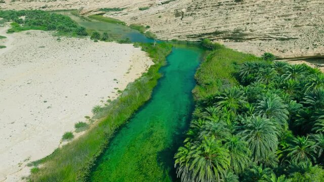 Aerial view of a turquoise river flowing past palm tree groves and steep desert rock canyons in Oman.