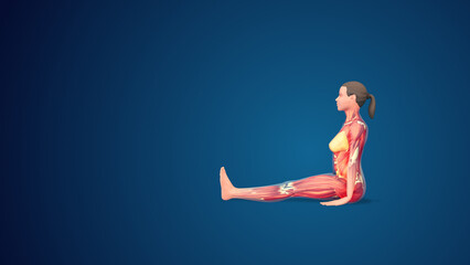 Fototapeta premium 3D human Dandasana or Staff yoga pose on blue background