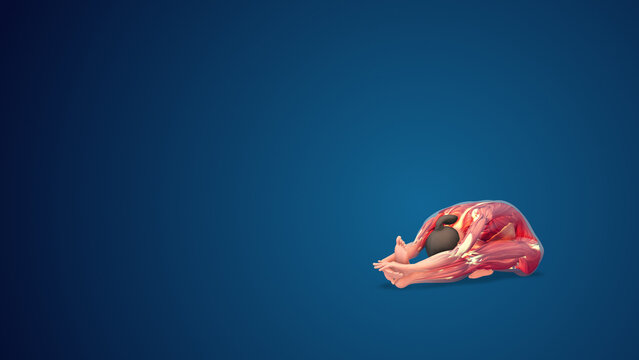 3D human Janu Sirsasana or Head-to-Knee yoga pose on blue background