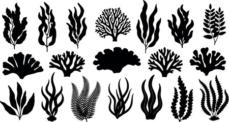 Seaweed silhouettes vector illustration showing diverse underwater plants, leafy, wavy, branching, coral-like marine flora, ocean nature artwork © MdForad