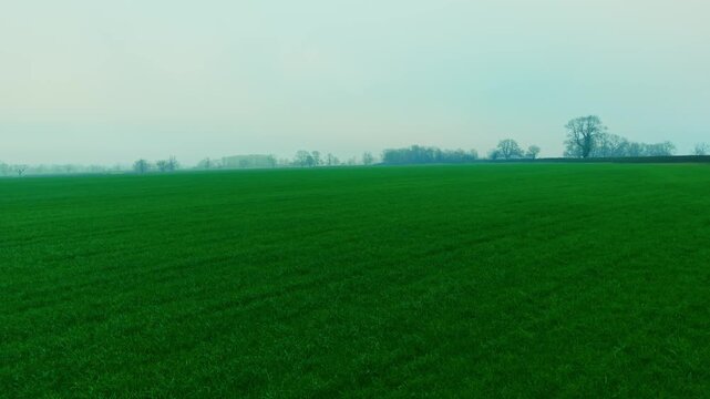 Endless grassy pastureland under thick morning fog in countryside valley. Low mist drifting above agricultural meadow and distant hedgerows forming tranquil rural atmosphere. Minimal farmland panorama