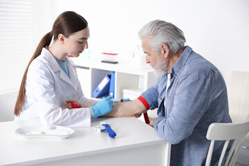 Fototapeta premium Doctor drawing senior man's blood sample in clinic