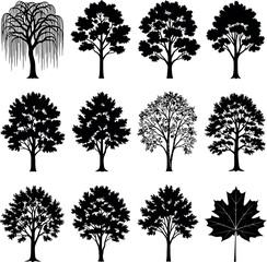 Obraz premium Collection of diverse tree silhouettes and leaf