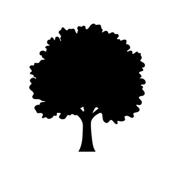 Black silhouette illustration of a tree with full, rounded foliage against white