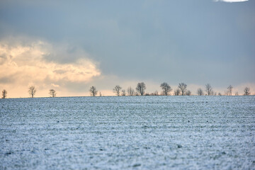 Fototapeta premium Landscape, farmland and clouds with snow in nature for agriculture, dormant crops and winter season. Space, trees or climate change with frost for soil moisture, rural farming and planting disruption