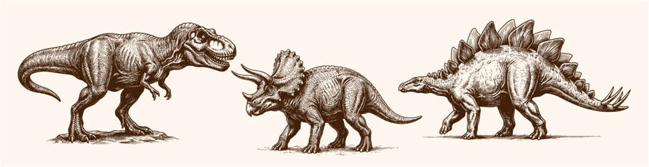 Hand Drawn Vintage Illustration of Three Famous Dinosaur Species © arief