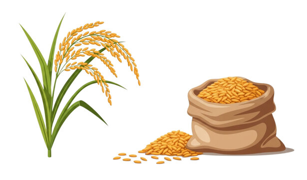A vector graphic illustration of a rice plant and a burlap sack of rice grains