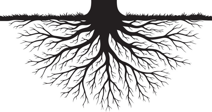 Tree Root System Silhouette on White Background Illustration