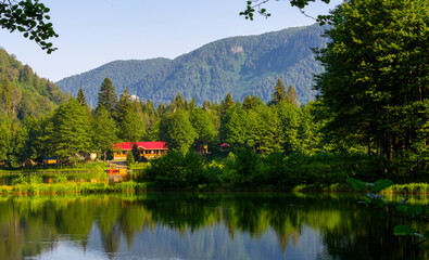 Obraz premium Karagöl is a landslide-dammed lake located 25-27 kilometers from Borçka district in Artvin.