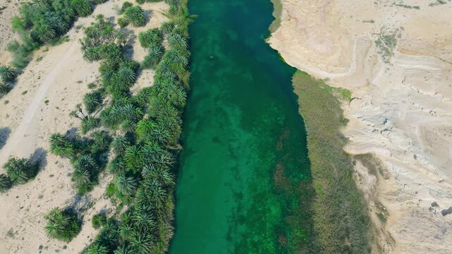 Aerial turquoise river flowing through a desert canyon with green palm trees and limestone cliffs at Wadi Shuwaymiyah, Oman.