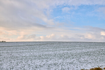 Fototapeta premium Landscape, farm and clouds with snow in nature for agriculture, dormant crops and winter season. Space, field and climate change with frost for soil moisture, farming erosion and planting disruption
