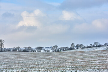 Fototapeta premium Landscape, farm and field with snow in nature for agriculture, dormant crops and winter season. Space, clouds and climate change with frost for soil moisture, farming erosion and planting disruption