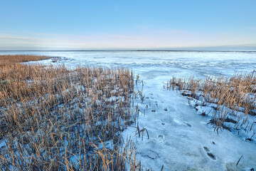 Fototapeta premium Landscape, blue sky and beach with snow in nature for climate change, winter season and morning frost. Space, grassland and seaside with ice formation, snowfall and icy conditions from global warning