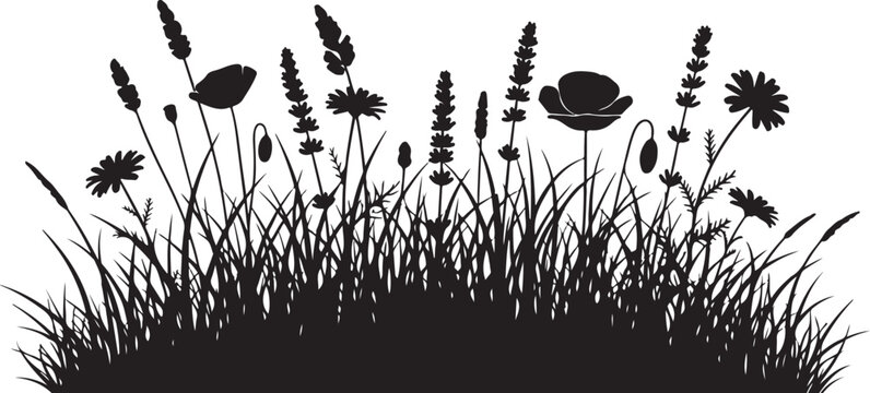 Black silhouette wildflowers, grass and weeds vector, floral border, landscape elements