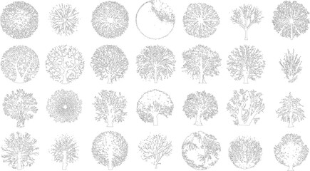 Collection of black and white line of various trees viewed from above and in profile outline © Pixel Park