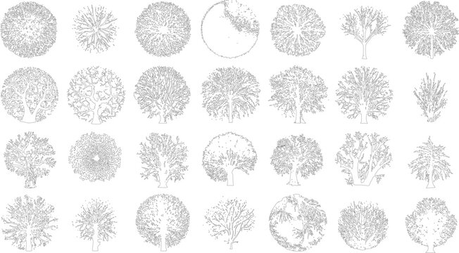Collection of black and white line of various trees viewed from above and in profile outline
