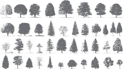 Collection of diverse grey deciduous and coniferous trees in silhouette with detailed foliage and branch structures © Pixel Park
