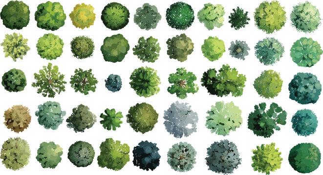 Collection of diverse stylized trees viewed from directly above in various shades of green and yellow
