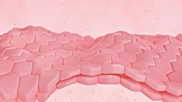 A detailed 3D animation depicts a close-up view of skin cells, specifically corneocytes, arranged in a layered structure to illustrate the skin barrier. Subtle movement and a soft glow, emphasizing