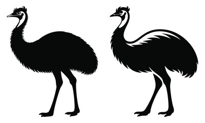 Fototapeta premium emu