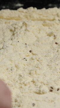 Vertical video. close-up of flour with parasitized small eggs of the beetle Tribolium confusum. Hand sifting through them