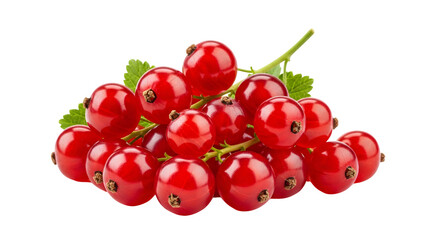 Obraz premium A vibrant cluster of red currants against a black background