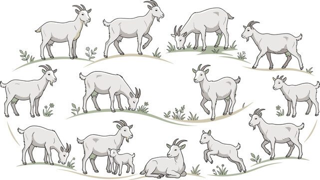 Large set of flat vector goat illustrations including adults and kids grazing, playing, and resting on grassy hills for farm and nature designs.
