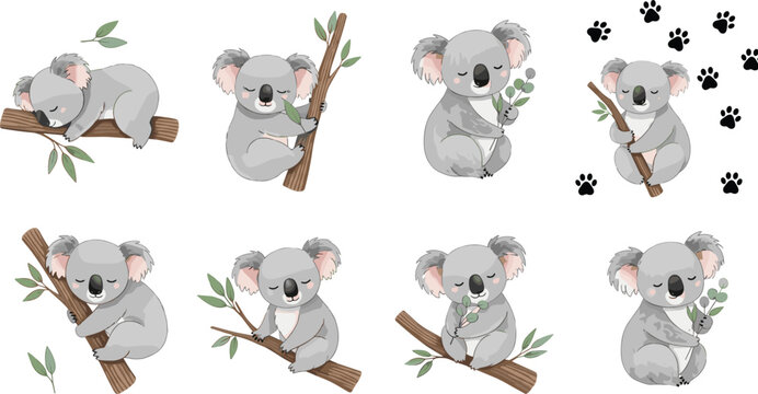 Cute koala characters collection cartoon koalas sitting on tree branches vector illustration set