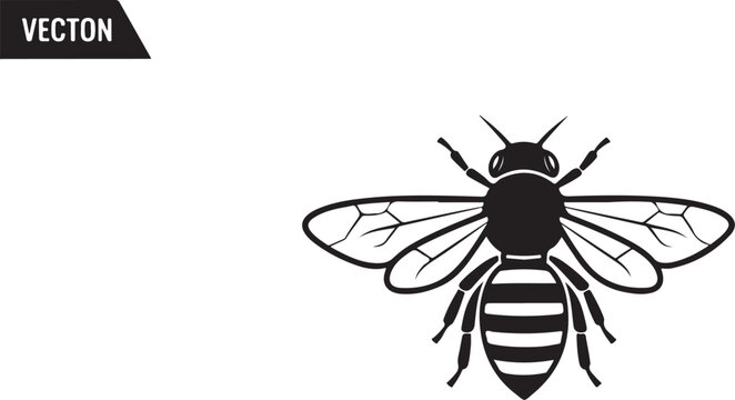 Black bee icon, insect illustration, vector graphic, striped bug symbol