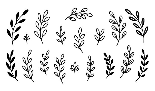 Floral doodle botanical elements with abstract twig leaves hand drawn silhouette vector set