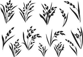 Obraz premium Collection of stylized black rice plant illustrations simple vector graphics for agriculture and food concepts isolated on white background