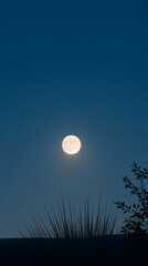 Fototapeta premium Moon over garden in photorealistic minimalist style