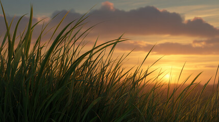 Fototapeta premium Sunrise over rolling hills in realistic nature photography
