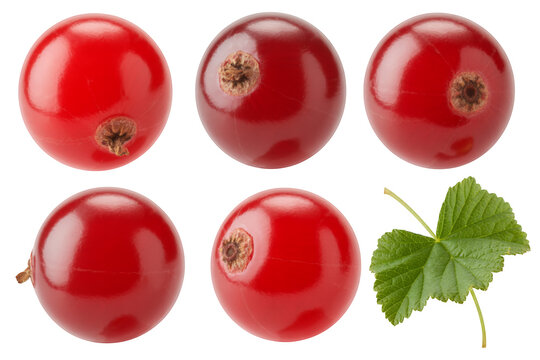 Red currants and green leaf isolated on a transparent background