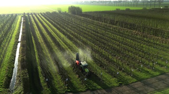 Aerial view of a tractor spraying rows of vines, with a vibrant green field in the distance, creating a contrast of agriculture, Beesd, Gelderland, Netherlands.
