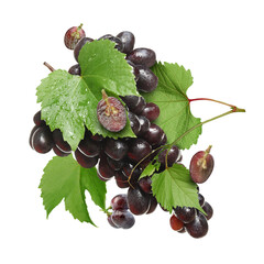 Obraz premium Fresh juicy grapes and green leaves in air on white background