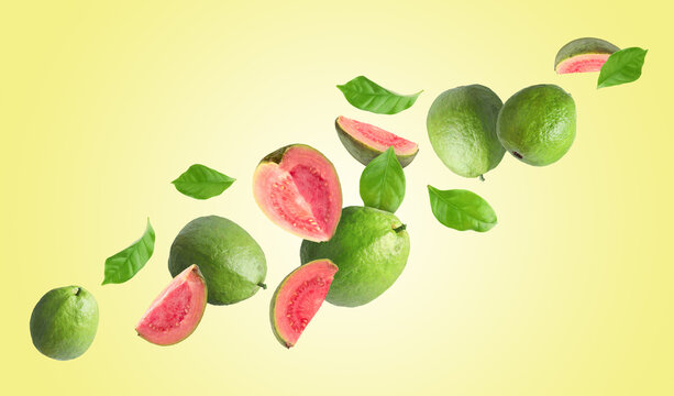 Fresh guava fruits and green leaves flying in air against beige background