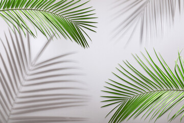 Fototapeta premium Green tropical leaves casting shadow on grey background