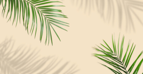 Fototapeta premium Green tropical leaves casting shadow on beige background. Banner design