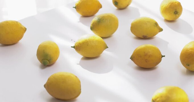 a lot of lemons on white table in the kitchen against window on sunny summer day.