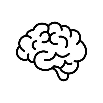 Cerveau en pictogramme outline, ic&ocirc;ne minimaliste anatomie cerveau, illustration vectorielle simple