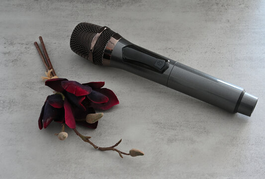 Schwarzer Mikrofon und trockene rote Blume auf dem grauen Hintergrund