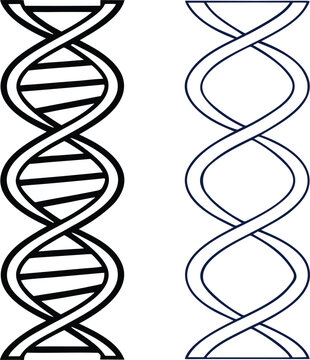 D n a double helix structures in black and blue
