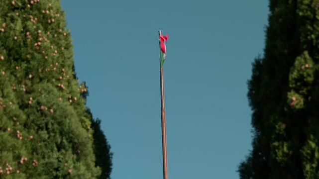 The Italian national tricolor flag waving on a tall flagpole between two dark green cypress trees on San Giusto hill in Trieste Italy during a bright sunny day
