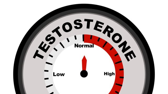 Testosterone text or word with a barometer or tachometer-style gauge, illustrating varying levels of testosterone in the body and its impact on health. Motion graphics. of concept. animation. 4k video