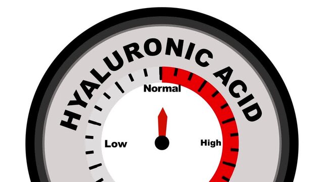 Hyaluronic Acid text or word with a barometer or tachometer-style gauge, illustrating varying levels of testosterone in the body and its impact on health. Motion graphics. of concept. animation